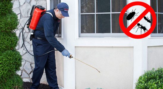 Bozkurt Hamam Böceği İlaçlama böcek ilaçlama ve haşere kontrolü — ilaclama-tr.com